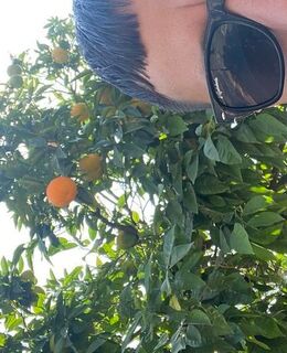 Енер — фото 1